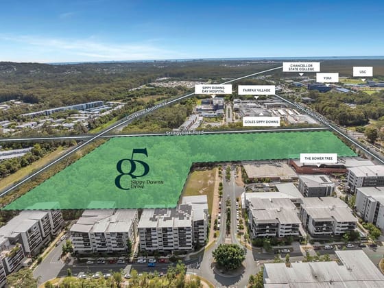 Click to view all images 85 Sippy Downs Drive Sippy Downs QLD 4556 - Image 4