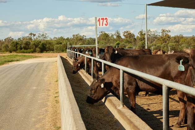 91 Mort Street Toowoomba City QLD 4350 - Image 4