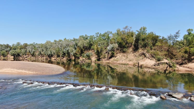 Click to view all images Dorisvale Claravale NT 0822 - Image 5