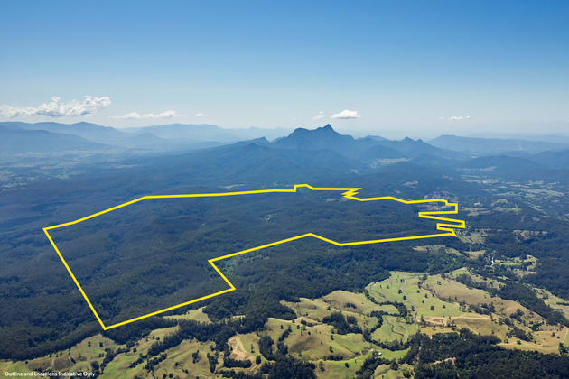 Click to view all images 2984 Kyogle Road Kunghur NSW 2484 - Image 3