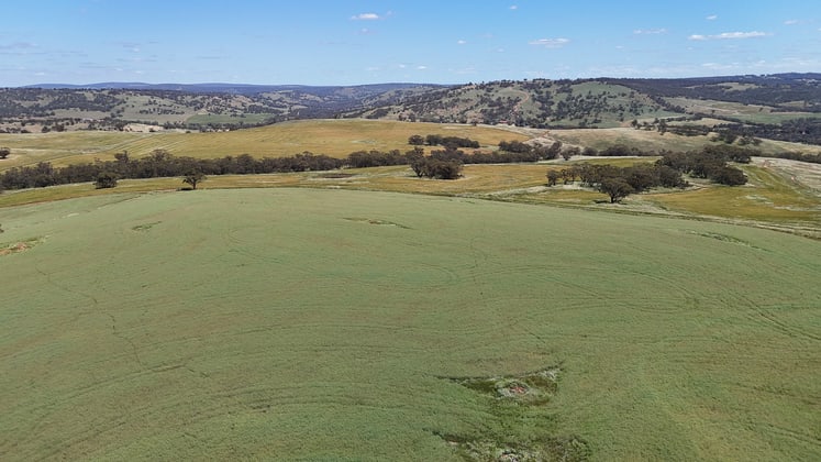 Click to view all images 180 Nottingham Road Toodyay WA 6566 - Image 5