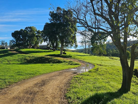 1989 Waukivory Road, Waukivory via Gloucester NSW 2422 - Image 4