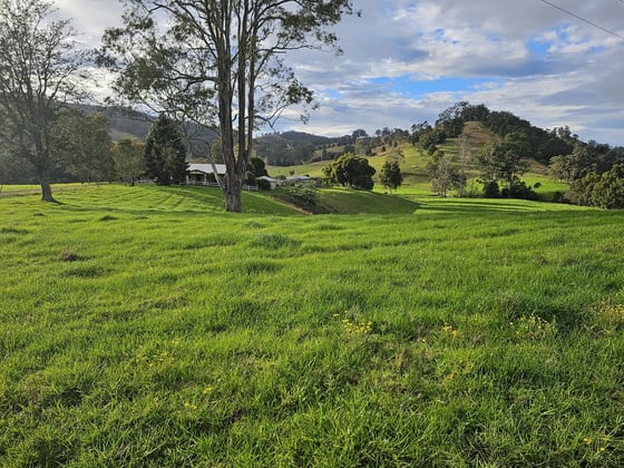 1989 Waukivory Road, Waukivory via Gloucester NSW 2422 - Image 5