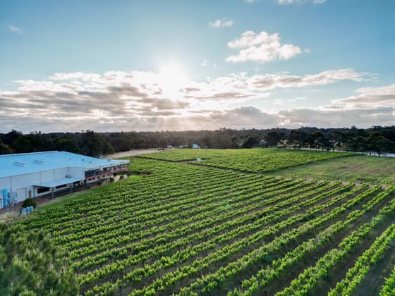 Capel Vale Wines 118 Mallokup Road Capel WA 6271 - Image 2