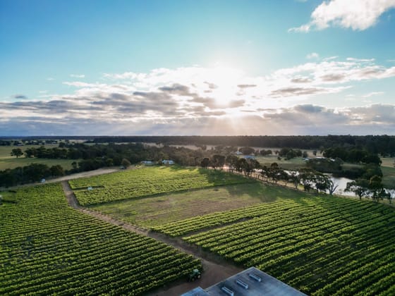 Capel Vale Wines 118 Mallokup Road Capel WA 6271 - Image 3