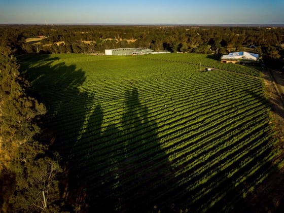Capel Vale Wines 118 Mallokup Road Capel WA 6271 - Image 4