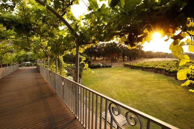 Capel Vale Wines 118 Mallokup Road Capel WA 6271 - Image 5