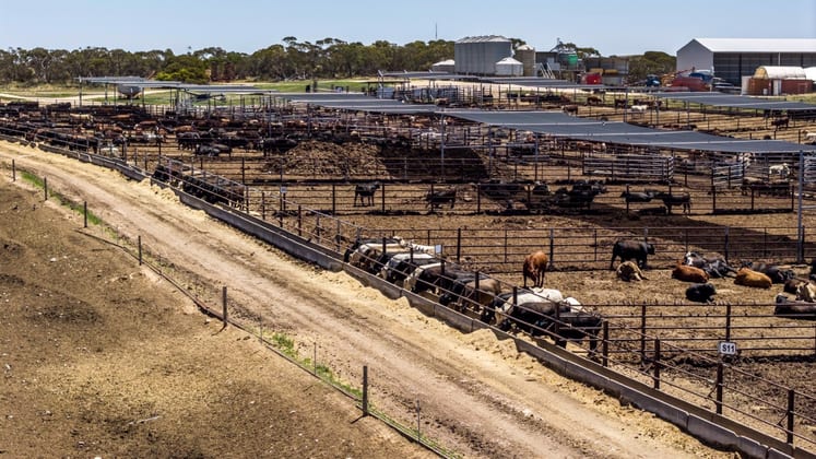 Click to view all images 1156 Parrakie North Road Lameroo SA 5302 - Image 2