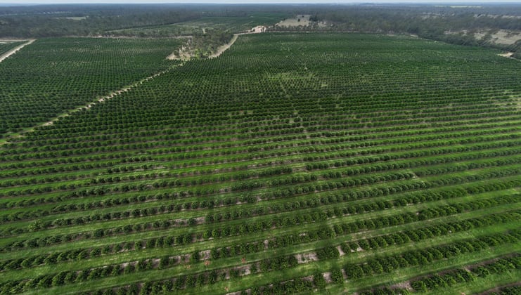 Bucca QLD 4670 - Image 1