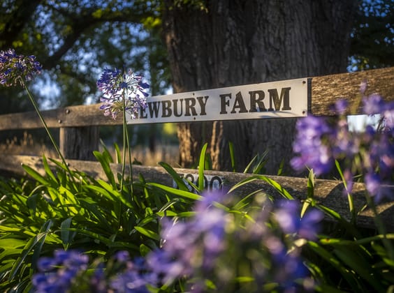 Click to view all images 7300 Illawarra Highway Sutton Forest NSW 2577 - Image 3