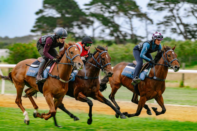 1272-1300 Barwon Heads Road Connewarre VIC 3227 - Image 3