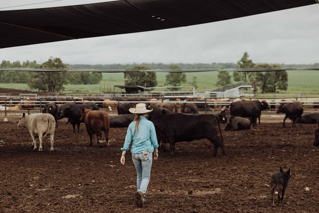 Springsure QLD 4722 - Image 5