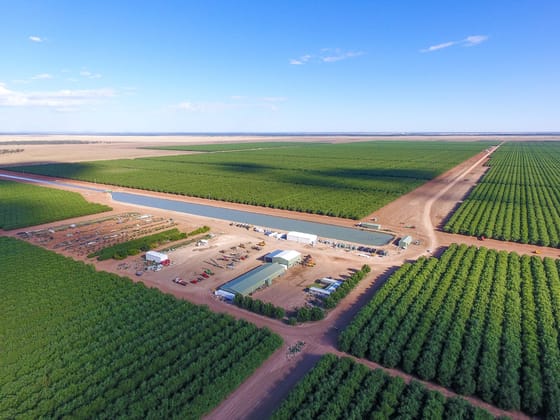 Hillston NSW 2675 - Image 1