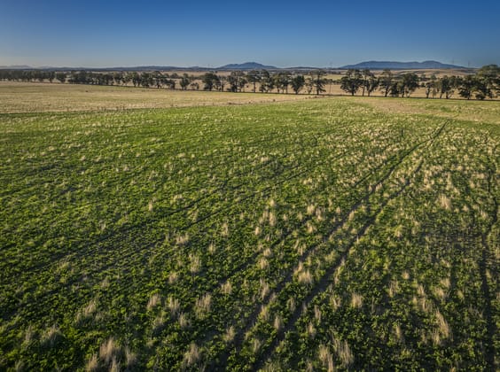 1154 Stockyard Hill Road Stockyard Hill VIC 3373 - Image 5