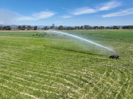 288 Round Mountain Road Laravale QLD 4285 - Image 1