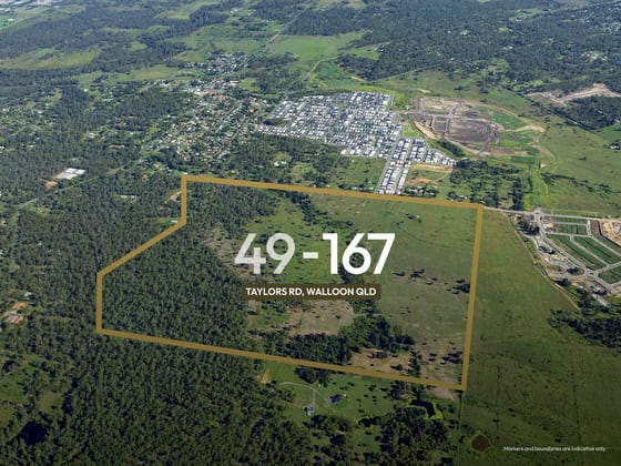 49-167 Taylors Road Walloon QLD 4306 - Image 3