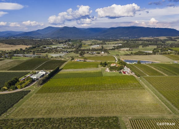 6 Maddens Lane Coldstream VIC 3770 - Image 1