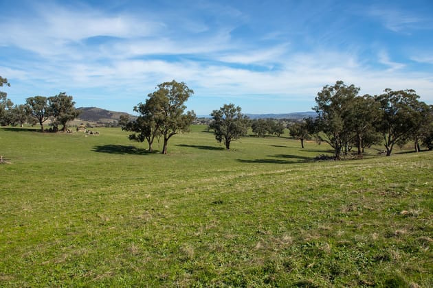 7440 Hume Highway Jugiong NSW 2726 - Image 2