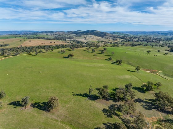 7440 Hume Highway Jugiong NSW 2726 - Image 5