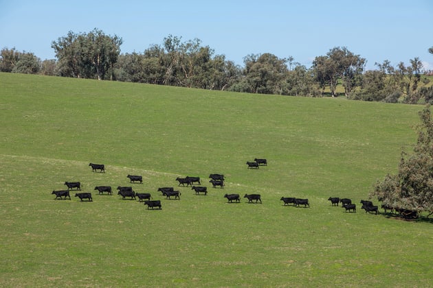 7440 Hume Highway Jugiong NSW 2726 - Image 3