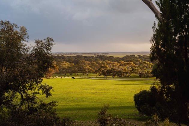 Click to view all images Barn Hill 565 Gordon Road Meningie East SA 5264 - Image 1