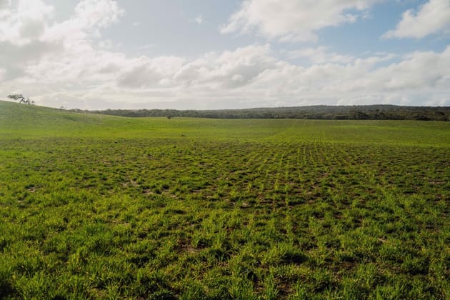 Click to view all images Barn Hill 565 Gordon Road Meningie East SA 5264 - Image 5