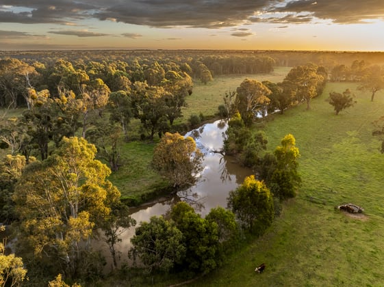 103 Kellys Road Longford VIC 3851 - Image 4