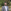 Ben Faulks