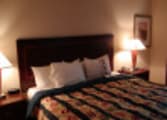 Accommodation & Tourism Business in Sydney