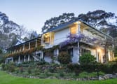 Accommodation & Tourism Business in Bermagui