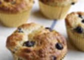 Bakery Business in Sydney