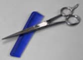 Hairdresser Business in Sydney