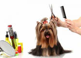 Animal Related Business in Mckinnon