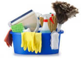 Cleaning Services Business in Balwyn North
