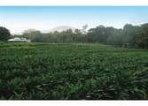 Rural & Farming Business in Wrights Creek