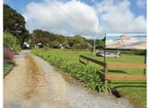 Accommodation & Tourism Business in King Island