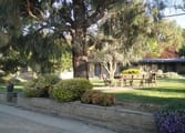 Accommodation & Tourism Business in Yass