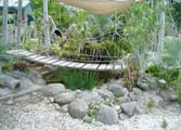 Accommodation & Tourism Business in Chillagoe