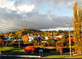 Accommodation & Tourism Business in Stanthorpe