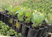 Home & Garden Business in Melbourne