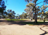 Accommodation & Tourism Business in Hay
