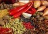 Catering Business in Maroochydore