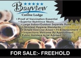 Professional Services Business in Mackay