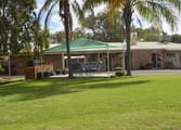 Professional Services Business in Charleville