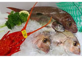 Retailer Business in NSW