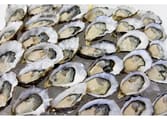 Retailer Business in NSW
