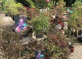 Retail Business in Wandin North