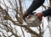 Home & Garden Business in Hughesdale