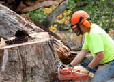 Home & Garden Business in Cheltenham