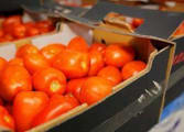 Food & Beverage Business in Werribee